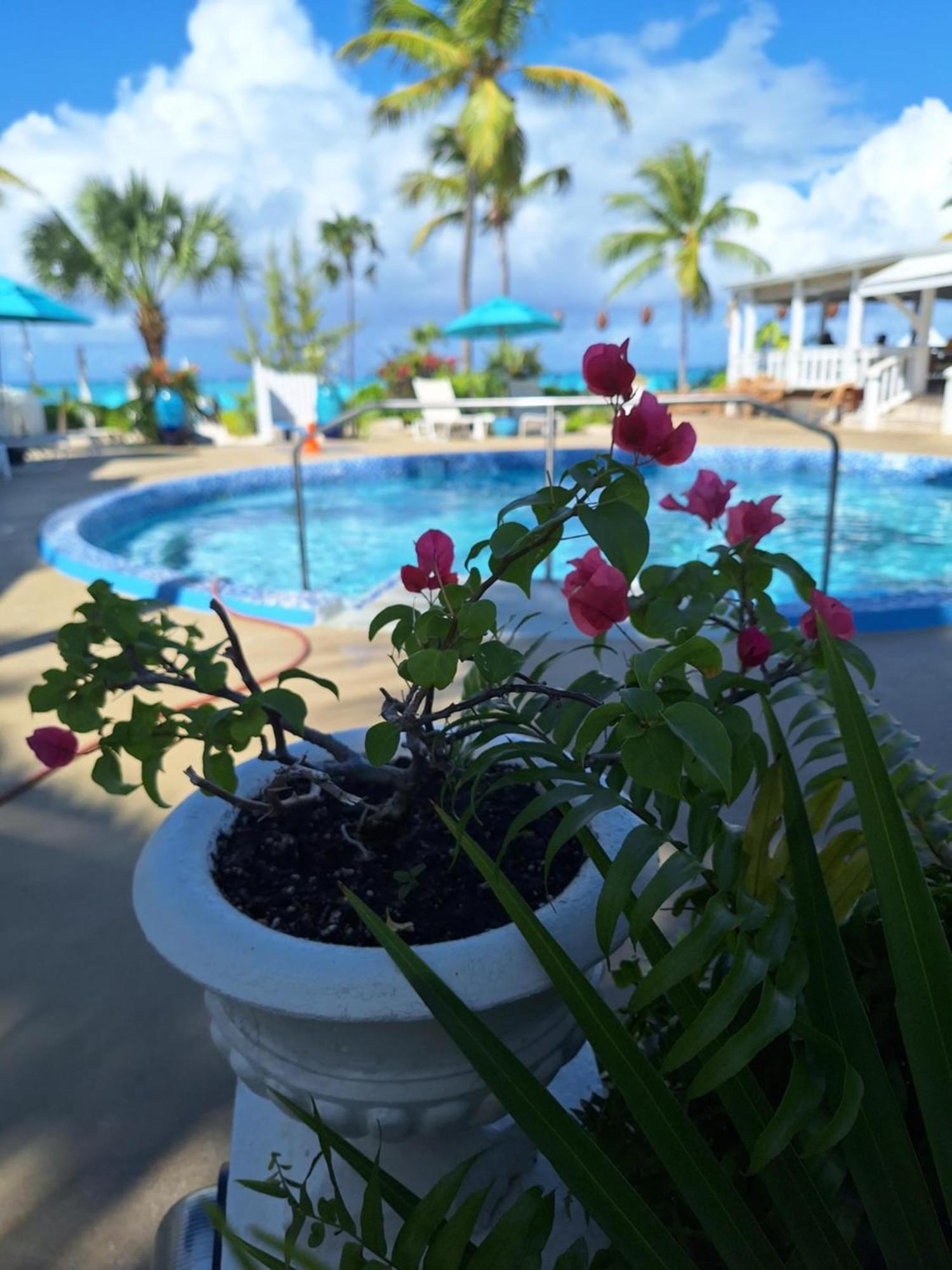 גרייס ביי Sibonne Beach Hotel מראה חיצוני תמונה